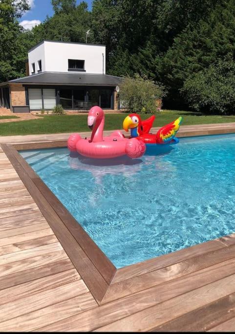 Magnifique Villa Avec Piscine En Sologne Vouzeron Exteriör bild